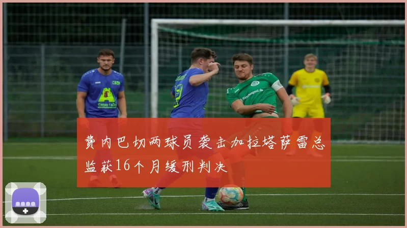费内巴切两球员袭击加拉塔萨雷总监获16个月缓刑判决
